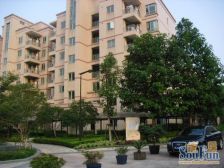 电梯小洋房,安静位置,业主买好房价格可谈