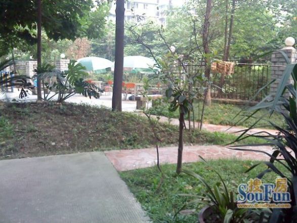 靓典实景图