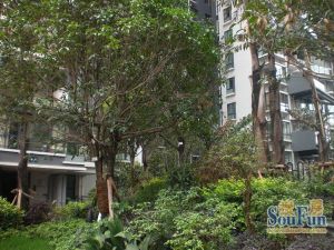 蓝光SOFA社区1室1厅东
