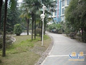 森宇音乐花园 3室1厅 南