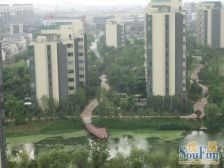 湖景房朗悦湾环境优美南北通透诚心出售