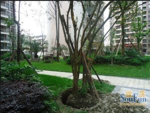 优地B区1室1厅东南
