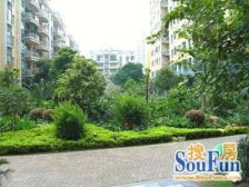 此房视野宽阔,采光充足,全景观无遮挡望湖