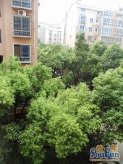 翡翠林居3室2厅南