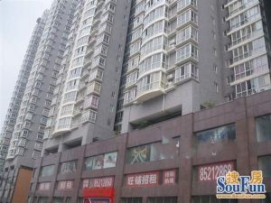 正地铁口楼层好无遮挡采光好