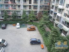 长福苑 1室1厅 东南