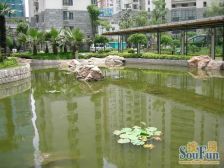 3/4/7镇坪路地铁,满五年税费少,双南户型,位置安静