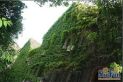 巨鹿路洋房实景图