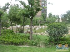 长桥·华滨家园·1室·1厅