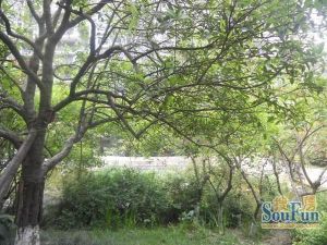 佰客郡2室1厅东