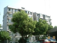 上海南站飞机三房户型三房,两年出一套的户型,诚售