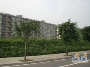 金泉阳光畅新苑1室1厅南