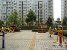 市府旁独栋有天有地有院子可扩展五层还可办公