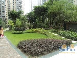 中大君悦金沙一二期3室1厅南