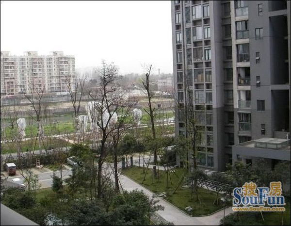 小区相关图