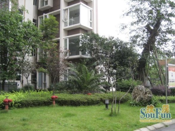 鱼凫阳光实景图