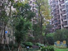 富丽碧蔓汀 3室2厅 东北