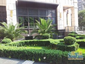 金牛新都会4室2厅西南