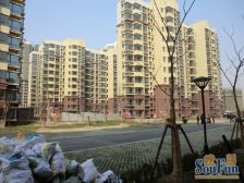 顾村·馨佳园九街坊·1室·1厅