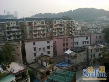 莲兴大厦1室1厅南