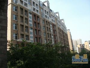 美茵河谷3室2厅西南