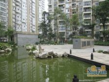 朝阳时代西锦 3室1厅 东南