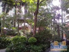 2020年装修的,视野开阔 采光好 业主诚心出售