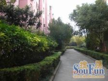 樱花园南北两房,花园位置,边套全明,近地铁1号线