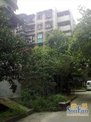 红房子 2室1厅 东