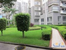 盛世华南 精装刚需三房 朝南 财富楼层 诚心出售