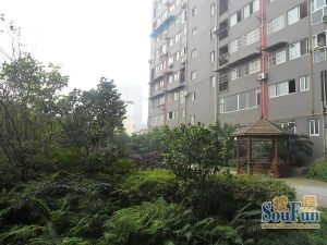 国安尚郡 1室1厅 东南 西南 西北 东北