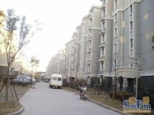 看过来看过来,采光嘎嘎好,交通便利