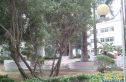 昌茂清华园实景图