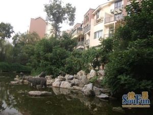 棠湖泊林小镇2室1厅东南
