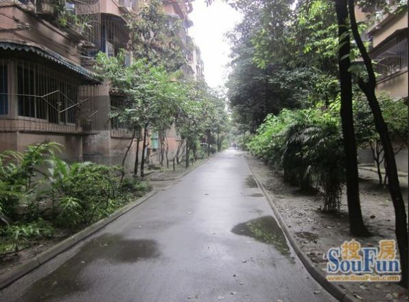 芙蓉小区实景图