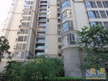 精装一房 中高楼层看花园 通风采光良好