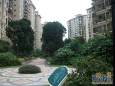 南城森林湖五房四卫大平层前后看花园中间安静座北朝南