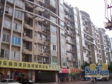 新巢小区一期1室1厅东南