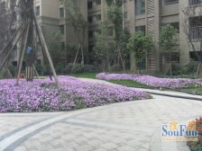 中海锦城一期3室1厅南