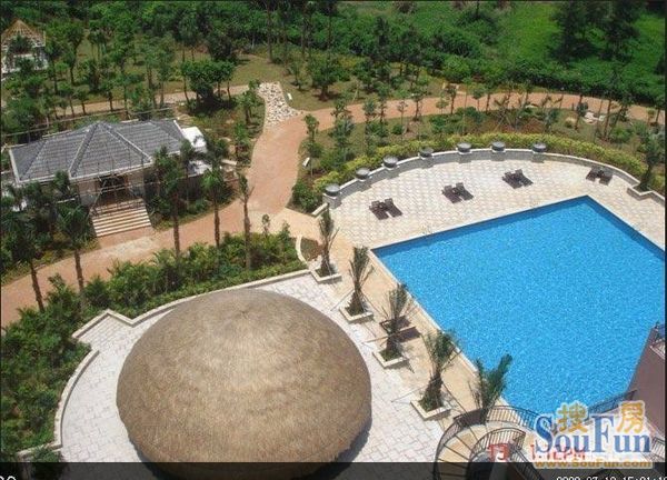 金色阳光实景图