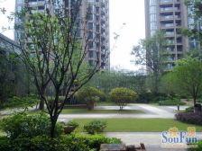 毛坯 有平台 有钥匙 随时阿看房 品质小区 四房