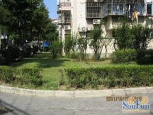 原始森兰一房、一梯2沪,中间花园位置。满5税少