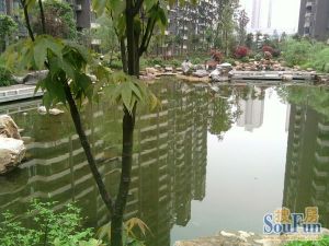西子花苑3室2厅南