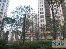 精装修,环境优美,两房朝南,南北通透,品质小区