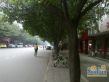 双流顺兴苑实景图