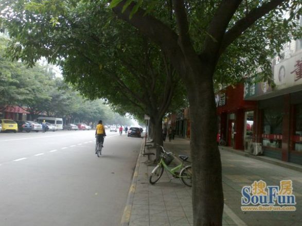 双流顺兴苑实景图
