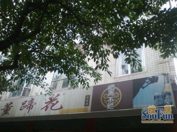 双流顺兴苑实景图