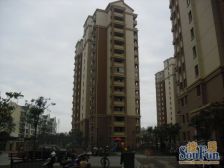 主卧朝南,交通便利,环境优美,居家装修