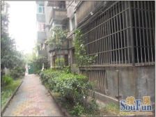 环湖路71号(冶金设计院住宅小区) 1室1厅 南