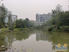 丽水佳园 安静两房出售 业主回老家发展 忍痛割爱